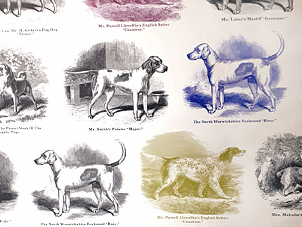 Abbildung Papier Jagdhunde